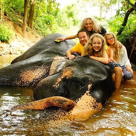 Jungle Village Homestay Pinnawala  Exteriér fotografie