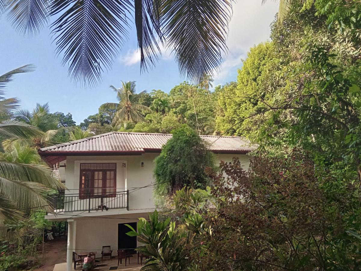 Jungle Village Homestay Pinnawala  Exteriér fotografie
