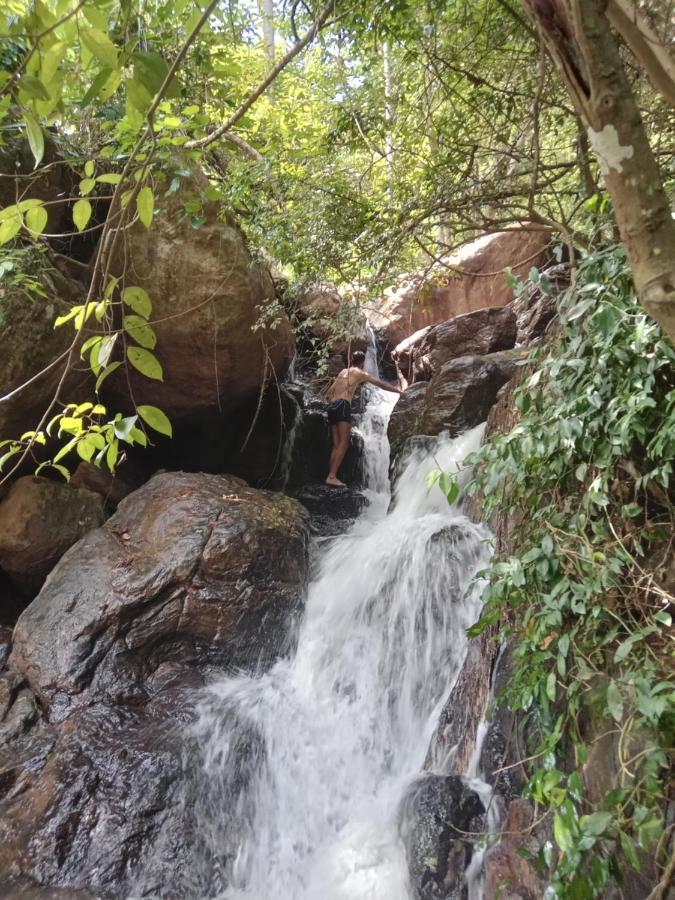 Jungle Village Homestay Pinnawala  Exteriér fotografie