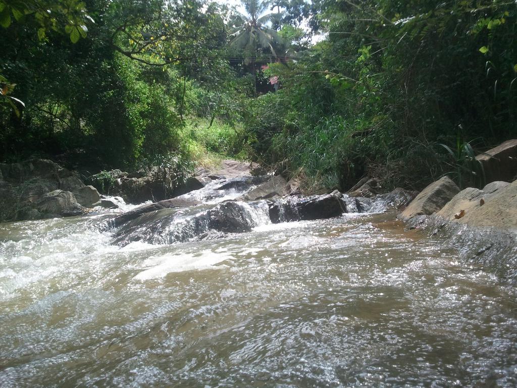 Jungle Village Homestay Pinnawala  Exteriér fotografie