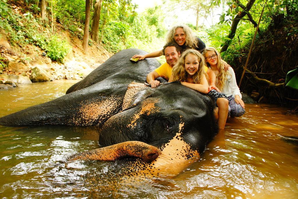 Jungle Village Homestay Pinnawala  Exteriér fotografie